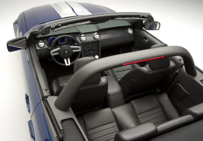 Shelby Mustang1.jpg